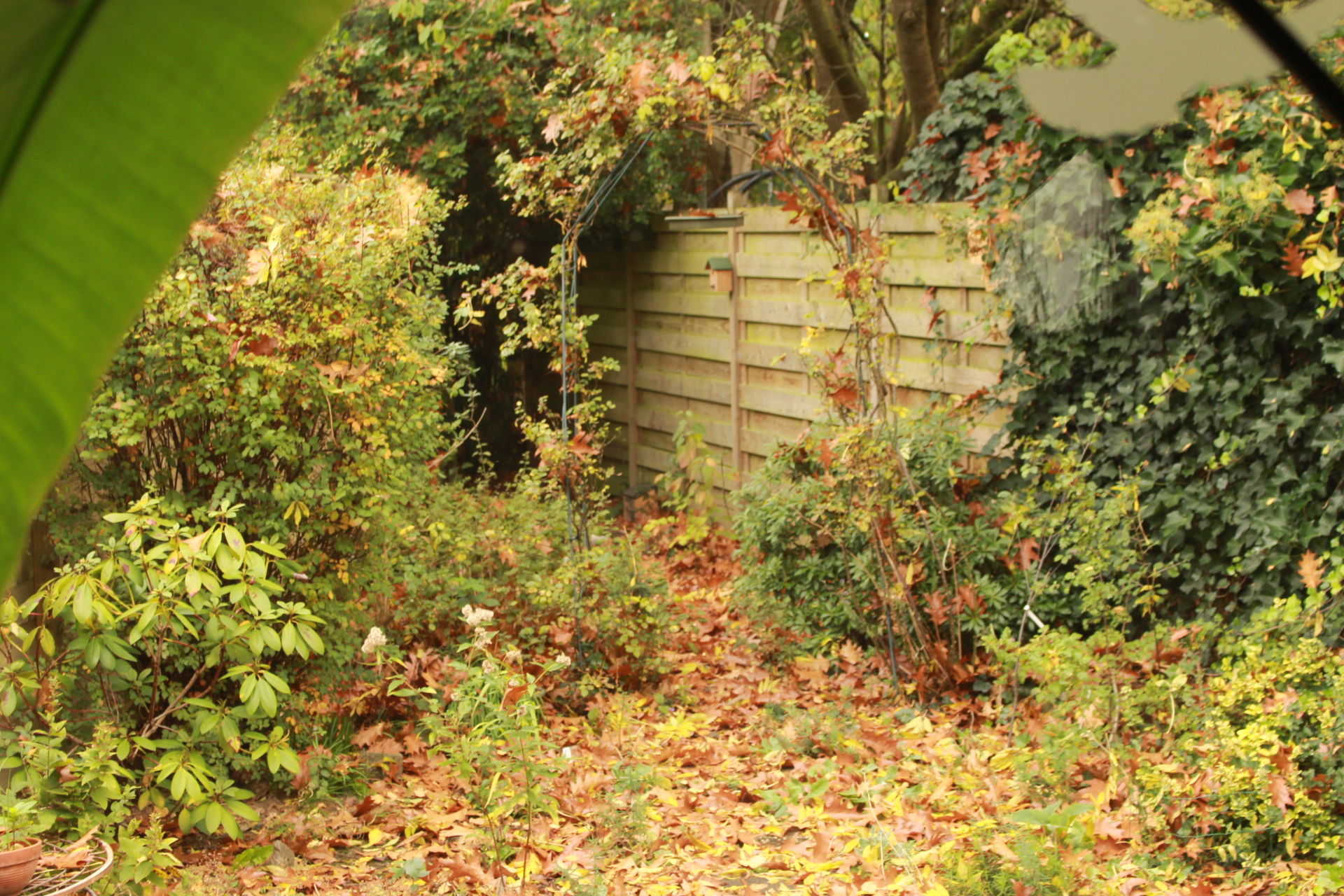 Garden Image